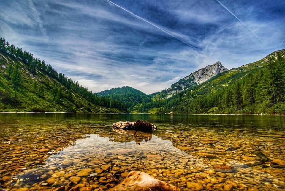Popp'N Angerl Lägenhet Tauplitz Exteriör bild